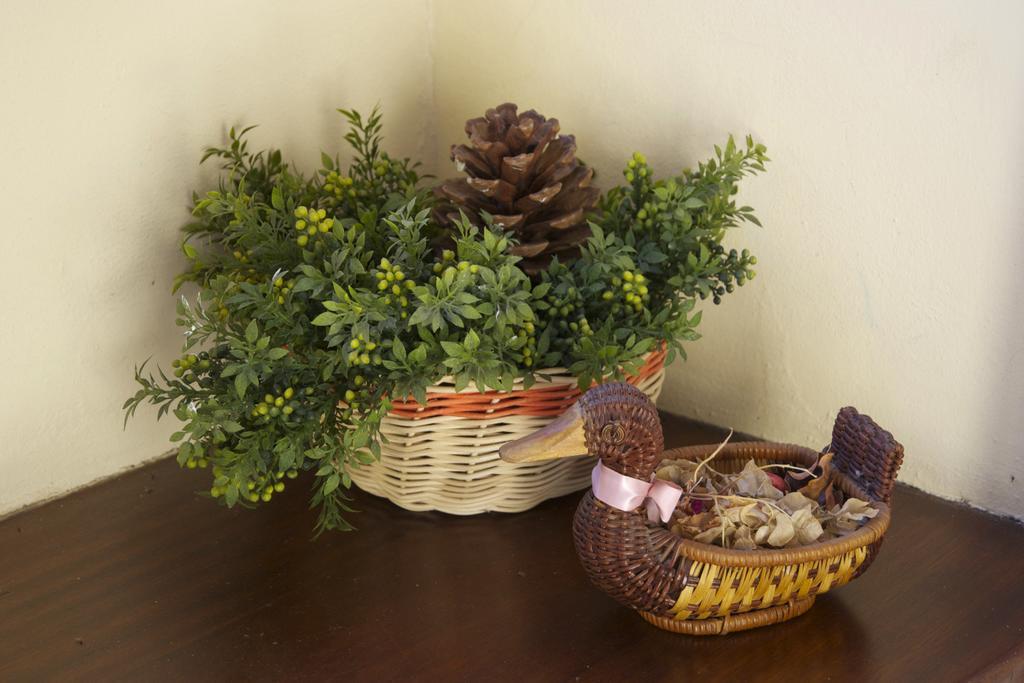 Casa Rural Olga El Paso Εξωτερικό φωτογραφία